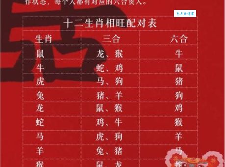 三心二意打一生肖是什么动物？答案揭晓！