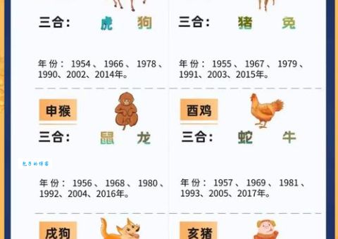 三心二意是哪个生肖？揭秘犹豫不决的动物