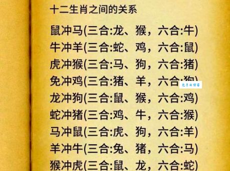 萧墙之祸是什么生肖？详解十二生肖中哪些易遭内乱