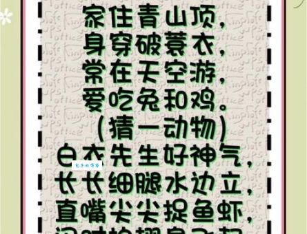 曲高和寡打一生肖是什么动物？答案揭晓！