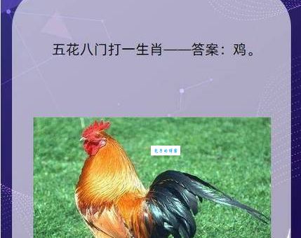 与众不同打一个生肖？答案让你意想不到！