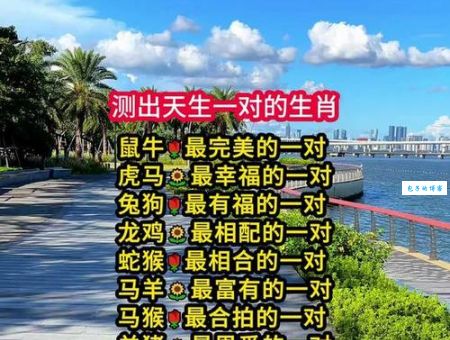 应天顺时打一生肖是什么动物？答案揭晓！