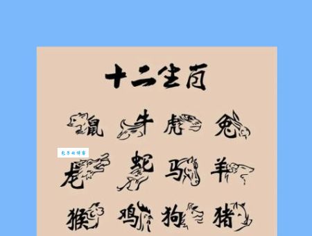 无法无天打一生肖是什么动物？答案揭晓！