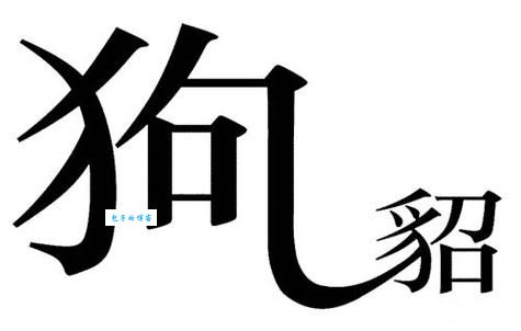 狗尾续貂是什么意思？简单解释及例句详解