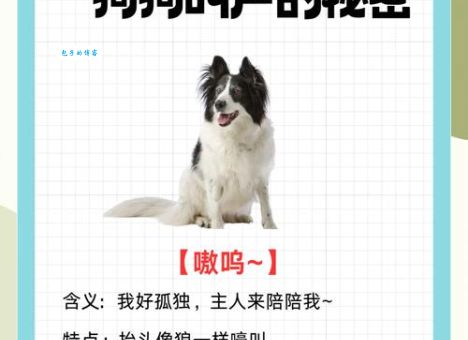 声色狗马是什么意思？详解声色狗马的含义和出处