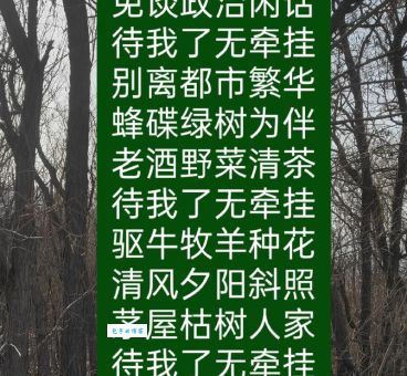 附庸风雅是什么意思？一看就懂的附庸风雅成语详解