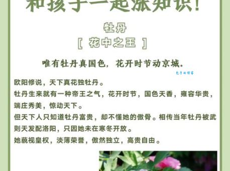 “名花有主”是什么意思？古代典故及现代用法