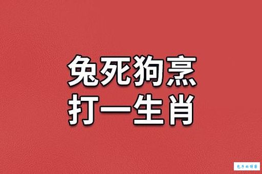 一文读懂兔死狗烹是什么意思？兔死狗烹的近义词和反义词