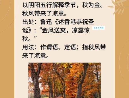西风落叶的含义是什么？带你了解西风落叶的象征意义