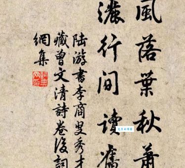 西风落叶的含义是什么？带你了解西风落叶的象征意义