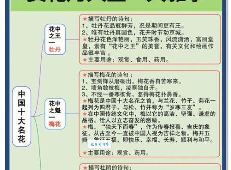 名花有主是什么意思？详解名花有主典故及现代含义