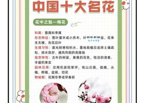 名花有主是什么意思？详解名花有主典故及现代含义