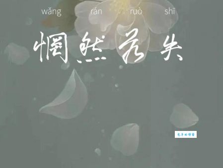 怅然若失是什么意思？详解成语含义及用法