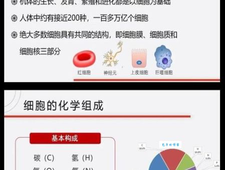 人体组织是什么意思？简单解释四大组织类型