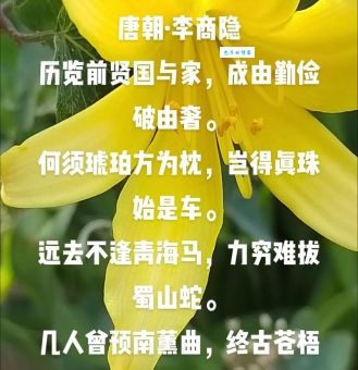 纵古论今是什么意思？看完你就明白了
