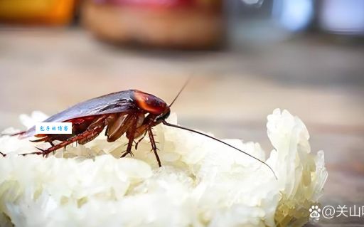 想知道“别开生面”是什么意思吗？这里有最详细的解释和例子