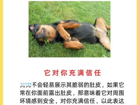 牵肠挂肚的真正含义是什么？一文带你彻底了解