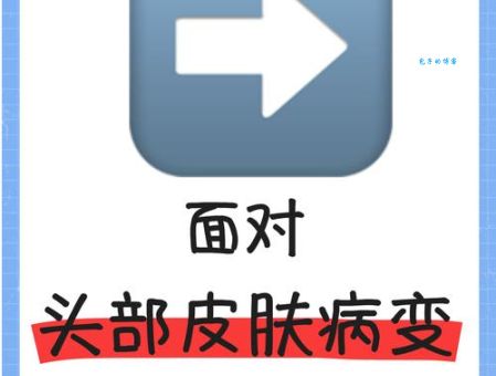 头上著头是什么意思？和头上安头有什么区别