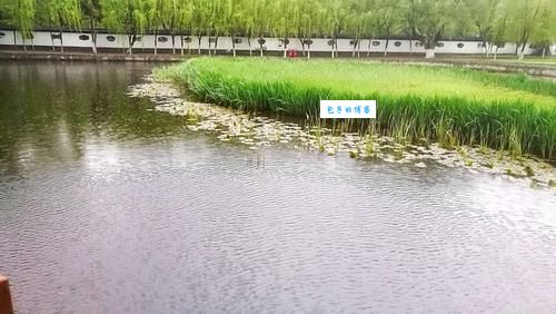 草木知威：比喻威名赫赫，厉害在哪？