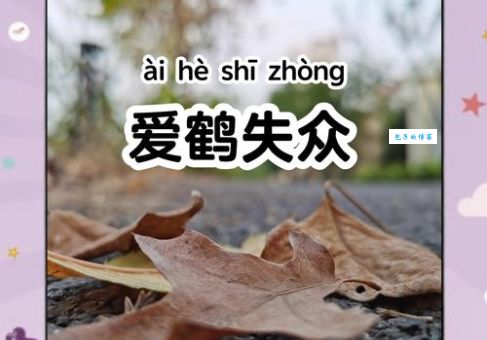 爱鹤失众是什么意思？用简单易懂的话解释爱鹤失众