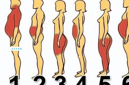 膀大腰圆与虎背熊腰的区别在哪？深度解析
