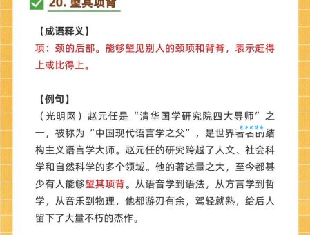 望其项背是什么意思？详解成语望其项背的含义及用法