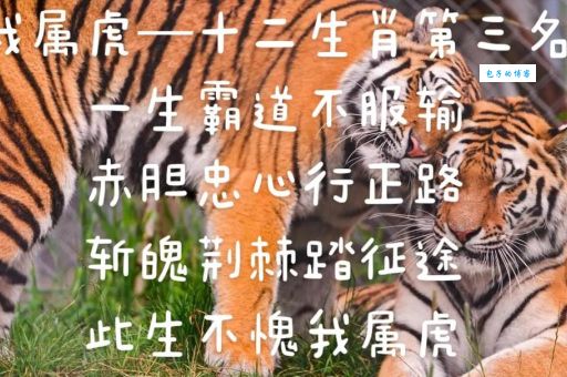 赤胆忠心代表什么生肖？答案可能让你意外！