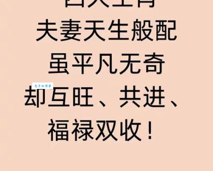 赤胆忠心代表什么生肖？答案可能让你意外！