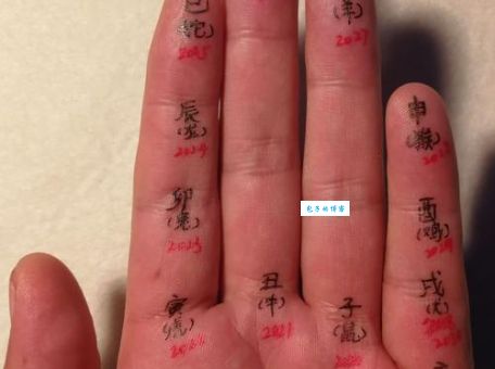 “断然不可”与十二生肖的关系是什么？权威解读