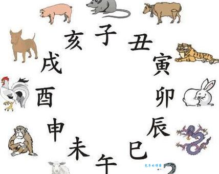 骗口张舌到底是哪个生肖？民间说法大汇总