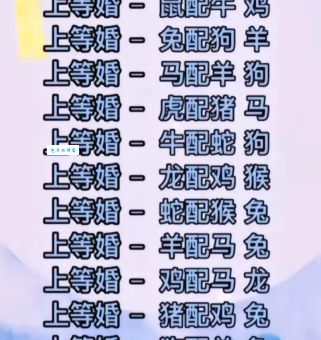 忠厚温驯指什么生肖数字？揭秘生肖与数字的秘密！