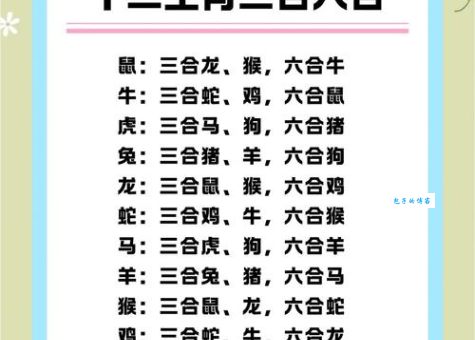 解谜：喜从天降对应哪种生肖动物？