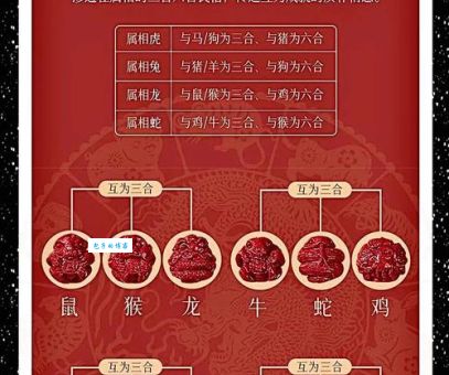 水火不容指的是哪几个生肖？速看生肖配对指南