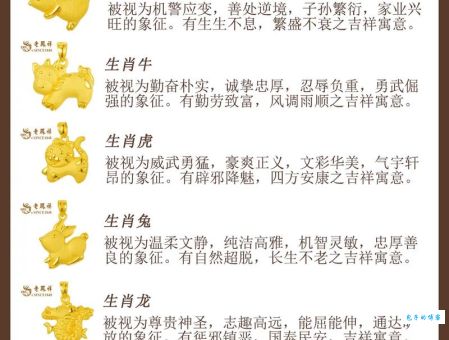 马中关五对应哪个生肖？快速了解生肖文化
