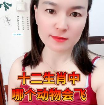 花飞蝶舞究竟是什么生肖数字？专家为你解答