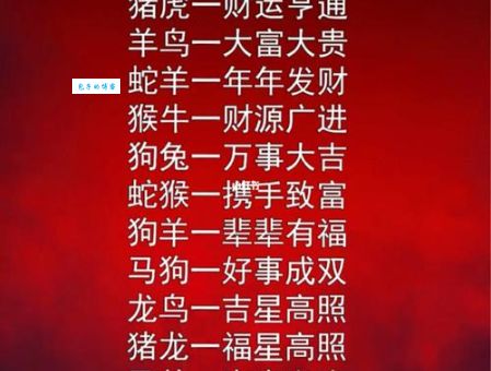 广开门路是什么生肖？从生肖性格看人生机遇