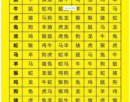 跋涉长途是哪个生肖的象征？详解十二生肖与长途跋涉的关系