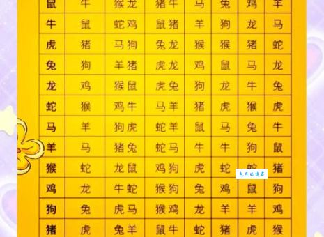 想知道群起攻击代表什么生肖吗？揭秘生肖性格与团队作战！