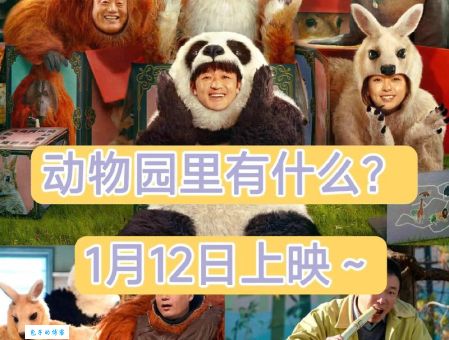 动物世界里的“侦探”：那些东张西望的小精灵们