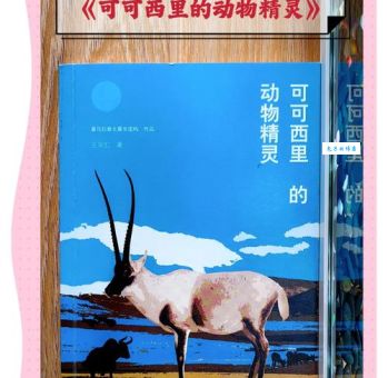 动物世界里的“侦探”：那些东张西望的小精灵们