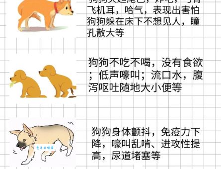 鸡鸣狗吠是什么意思及用法？一文带你彻底了解