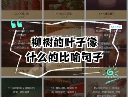 彻底理解“粗枝大叶”的含义和应用场景，避免误用