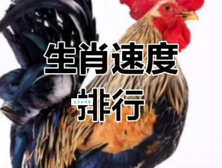 急速奔跑的动物，健步如飞打一正确生肖是？