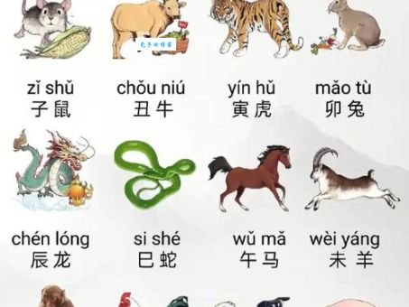 哪个生肖最孝顺父母？孝顺双亲的动物大揭秘！