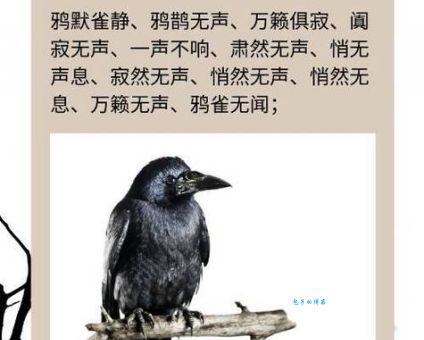 鸦雀无声的意思是什么？简单易懂的成语解释和例句
