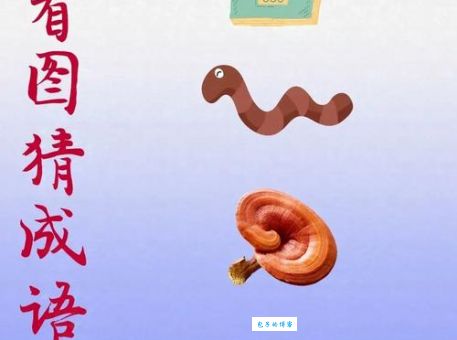 超级烧脑！四方一条心打一字，猜猜看是什么？