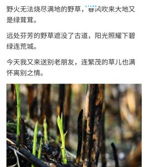 猜成语：野火烧不尽，春风吹又生，答案是什么？