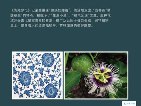 舶来品是什么意思？简单解释舶来品的含义和用法