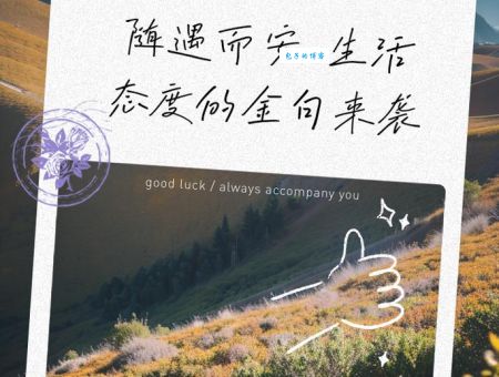 随遇而安是什么意思？生活中的实际应用和案例分析