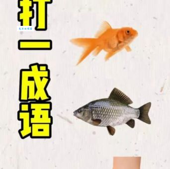 三条鱼排队进入打一成语：轻松揭晓答案